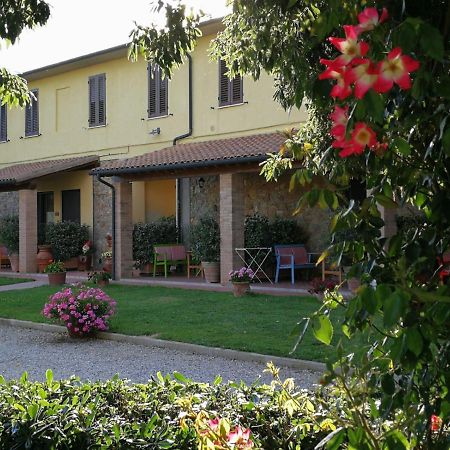 Agriturismo Il Cuscino Nel Pagliaio 坎丕里亚麦利蒂玛 外观 照片