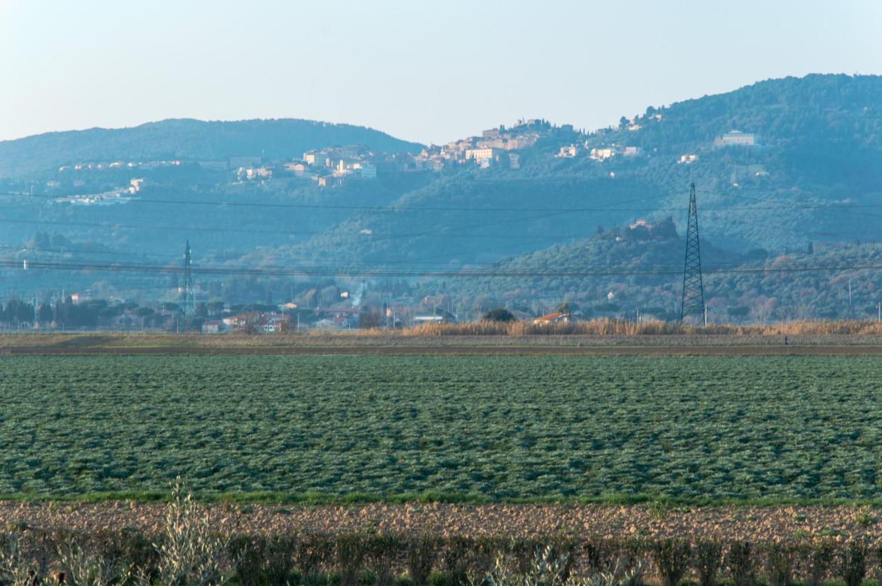 Agriturismo Il Cuscino Nel Pagliaio 坎丕里亚麦利蒂玛 外观 照片