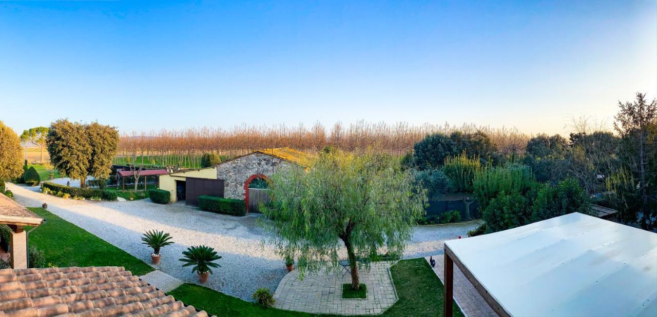 Agriturismo Il Cuscino Nel Pagliaio 坎丕里亚麦利蒂玛 外观 照片