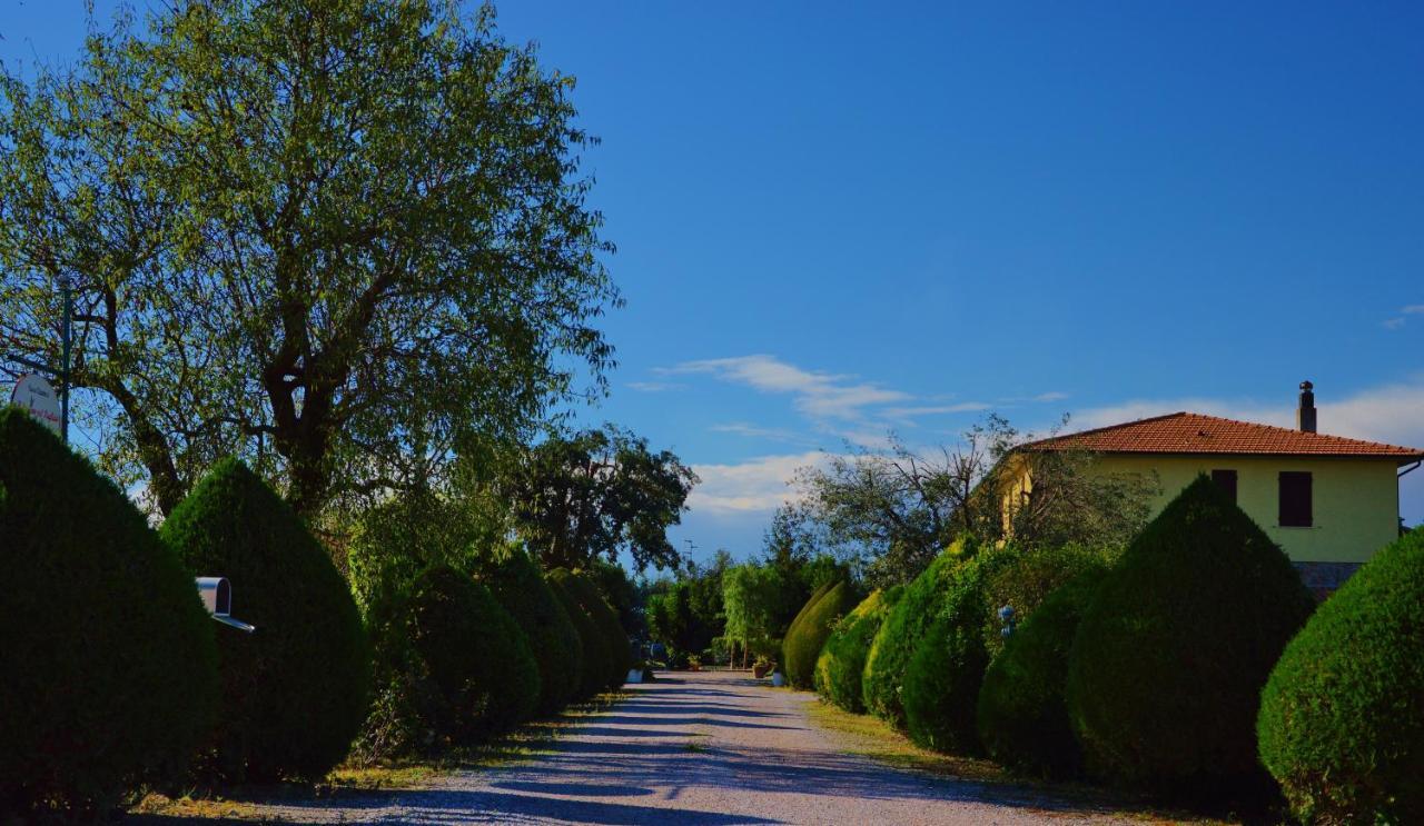 Agriturismo Il Cuscino Nel Pagliaio 坎丕里亚麦利蒂玛 外观 照片