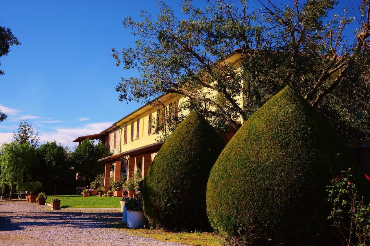 Agriturismo Il Cuscino Nel Pagliaio 坎丕里亚麦利蒂玛 外观 照片