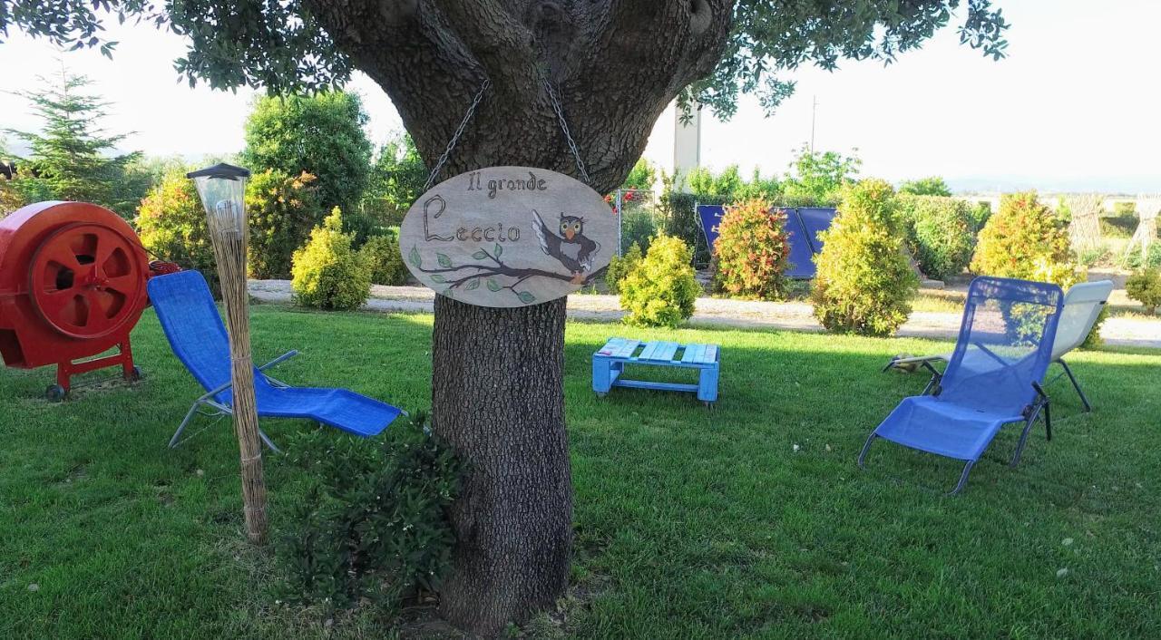 Agriturismo Il Cuscino Nel Pagliaio 坎丕里亚麦利蒂玛 外观 照片