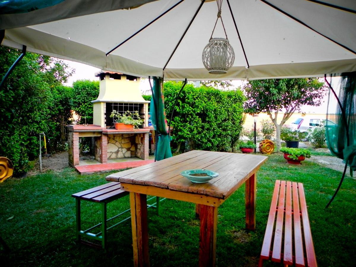Agriturismo Il Cuscino Nel Pagliaio 坎丕里亚麦利蒂玛 外观 照片