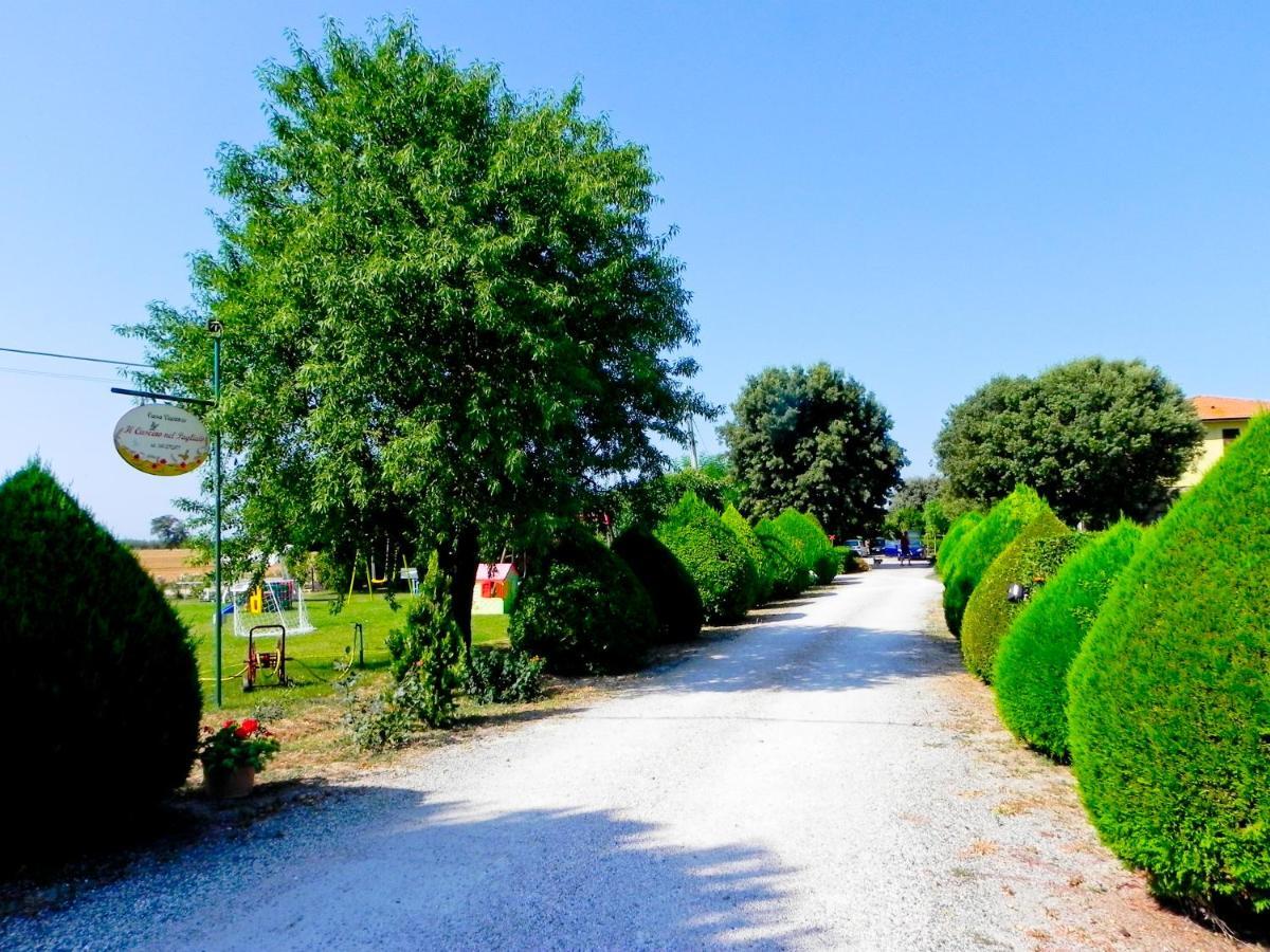 Agriturismo Il Cuscino Nel Pagliaio 坎丕里亚麦利蒂玛 外观 照片