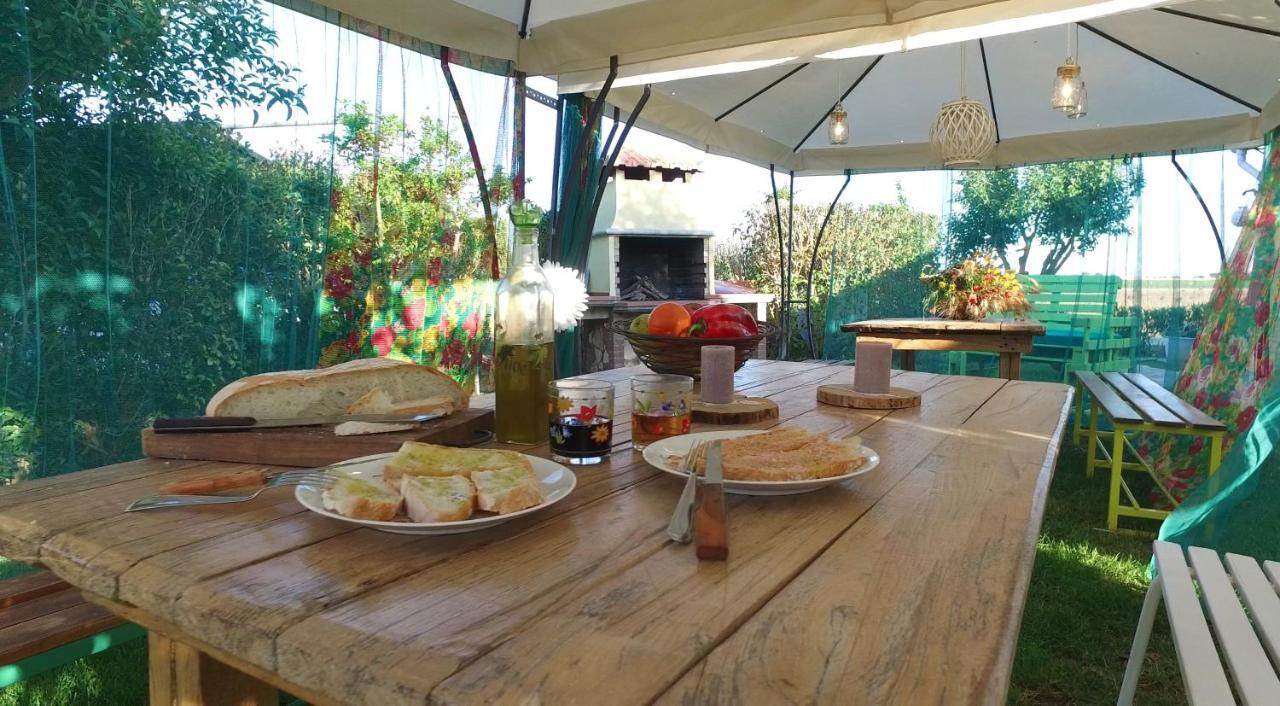 Agriturismo Il Cuscino Nel Pagliaio 坎丕里亚麦利蒂玛 外观 照片