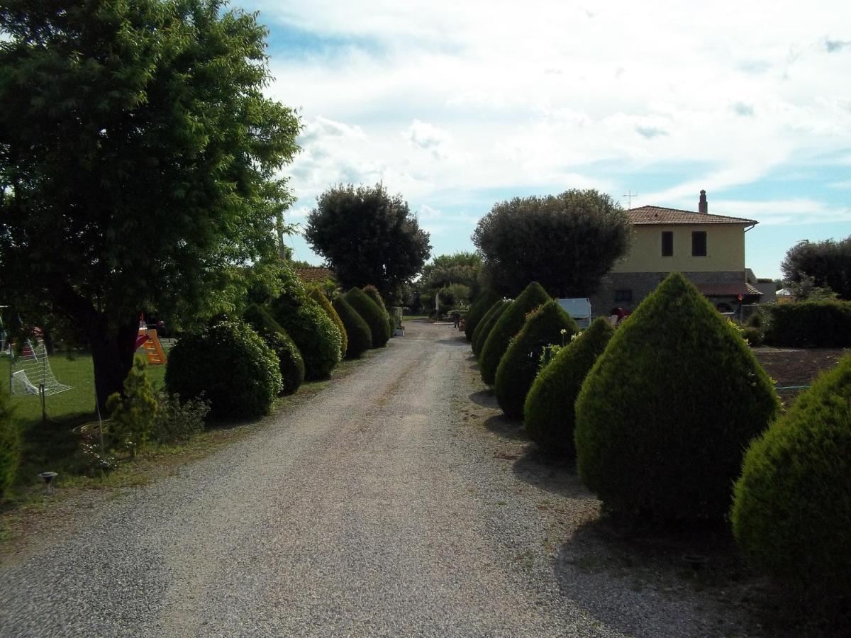 Agriturismo Il Cuscino Nel Pagliaio 坎丕里亚麦利蒂玛 外观 照片